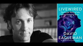 David Eagleman, "Livewired: The Inside Story of the Ever-Changing Brain"