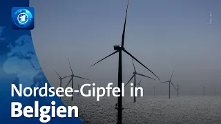 Mehr Offshore-Anlagen geplant: Nordsee-Gipfel im belgischen Ostende