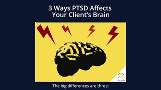 Bessel van der Kolk, M.D. on 3 Ways PTSD Affects Your Client's Brain