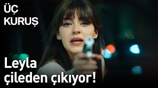 Üç Kuruş 28. Bölüm (Final) - Leyla Çileden Çıkıyor!