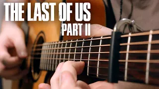 Beyond Desolation (The Last of Us Part II) Guitar Cover | DSC