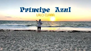 Príncipe Azul - Lalo Claria  (Liryc video)