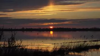 Romansas TĖVIŠKĖS LAUKUOS SAULUTĖ LEIDOSI