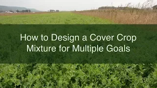 How to Design a Cover Crop Mixture for Multiple Goals
