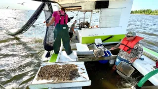 20,000 Shrimp and a BOAT Full of WATER in less then 4 HOURS! (Catch & Cook Cajun Style)