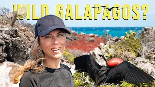 LEAVING Our SAILING CATAMARAN in Search of RAW WILDERNESS in the GALAPAGOS | Harbors Unknown Ep. 82