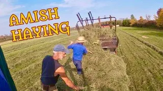 Making Hay With The Amish