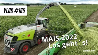 Vlog #165 May 2022 with Claas Jaguar 960 Terra Trac - let's go! How are the yields?