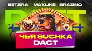 Устроили собачьи бега сразу в трех казино! Чей  "Dog House" даст быстрее и даст ли вообще? Смотри !