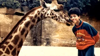 Bande annonce - Pierre Gay, l'homme qui murmurait à l'oreille des girafes #Documentaire #Nature