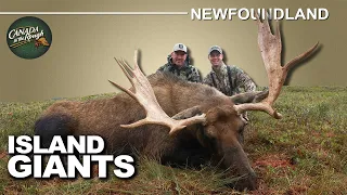 Remote Fly-in Moose Hunting in Newfoundland | Canada in the Rough