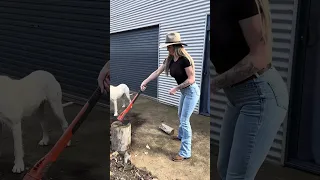 my morning routine on the farm! #countrygirl #farming