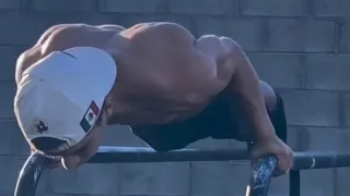 Daily calisthenics motivation #17