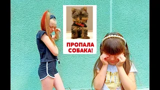 Мария ПОТЕРЯЛА СОБАКУ ! Диана в отчаянии !