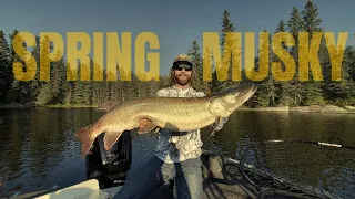 MUSKY FISHING!!!! IN SPRING! (LAKE OF THE WOODS)