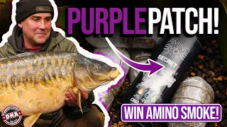 Best spring EVER! Big-carp hauling | DNA Baits | Purple Patch | WIN Amino Smoke bundle! Carp fishing