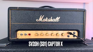 Marshall SV20H SD1 Captor X