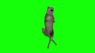 Dancing Wolf Meme - Green Screen