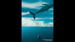 летающий кит