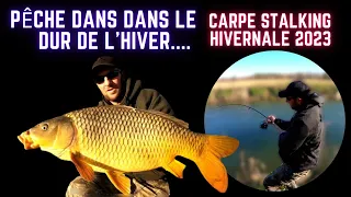 Carpes en rivière # 2 - Au plus dur de l'hiver... début de Saison 2023