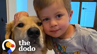 This Dog Is So Loyal, He Checks Up On Toddler Every Night | The Dodo Soulmates