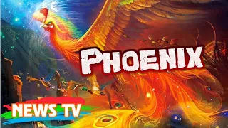 Truyền thuyết về Phoenix (Phượng Hoàng) – Loài chim thống lĩnh bầu trời