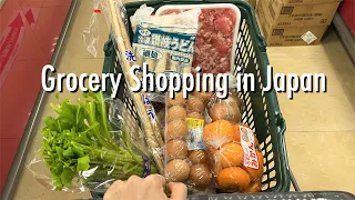 Last Shopping Compilation of 2023 🎵supermarket, goodies shop & 100yen store  in Japan