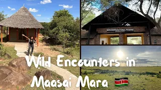 Wild Encounters in Masai Mara: Up Close with Africa's Majestic Wildlife