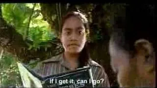 a portion of the film "The Land Has Eyes"