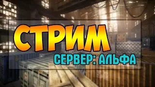 ИГРАЕМ ВАРФЕЙС С УТРА ПОРАНЬШЕ БЕГОМ ВСЕ НА СТРИМ!!!!