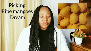 picking ripe mangoes in the dream meaning