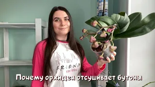 Почему орхидея отсушивает бутоны?!