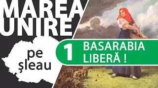 Basarabia liberă! (feb 1917 - ian 1918) | MAREA UNIRE PE ȘLEAU ep.1/15