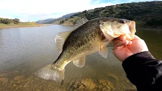 Bass fishing Coyote Lake