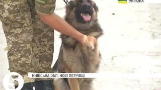 Кінологи про безцінну допомогу собак в зоні #АТО