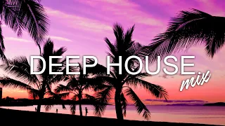 Avicii, Calvin Harris, Kygo, Alok, Robin Schulz, David Guetta, Gryffin   Summer Vibes Mix #391