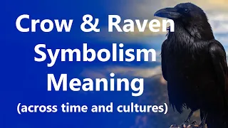 Crow & Raven Symbolisn and Meaning