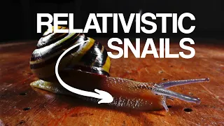 Relativistic snails - Episode 6