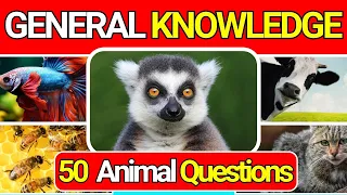 General Knowledge Quiz Trivia 41 📚💡 Animal Quiz | Can You Answer All 50 Questions Correctly? 2024