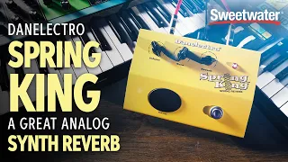 Danelectro Spring King: A Great Analog Synth Reverb — Daniel Fisher