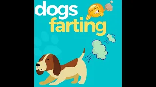 dog farts Compilation 💨😷😂 beast funny dog farts 2022 #dog #funny #fart