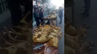 Жесть!!!!! Только 18+!!!!!! Как в Китае готовят собак ((((( People eat the dogs of China