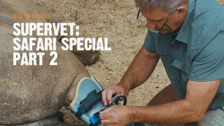 Supervet: Safari Special | Working With Animotion