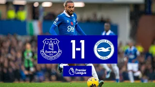 PREMIER LEAGUE HIGHLIGHTS: EVERTON 1-1 BRIGHTON