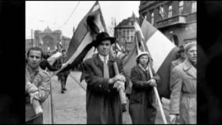 Man of the Year : Hungarian Freedom Fighter