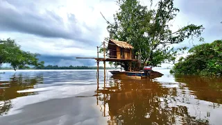 BERKEMAH DIPINGGIR SUNGAI KAPUAS, MEMBUAT SHELTER BAMBU SEDERHANA, MENJARING IKAN. (SOLO CAMPING)