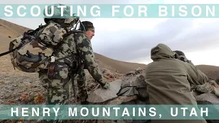 We’re scouting for more Bison in the Henry Mountains of Utah || #55