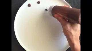 Chocolate sauce plating style