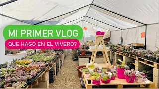 Mi primer Vlog/ mantenimiento, riego, polinización de Suculentas y Cactus