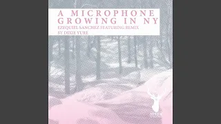 A Microphone Growing In NY (Dixie Yure Remix)